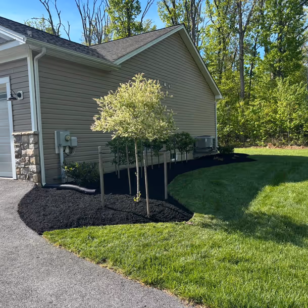Lawn care and landscaping project by Tim's Outdoor Services