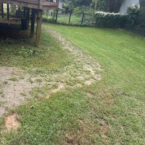 Lawn care and landscaping project by Tim's Outdoor Services