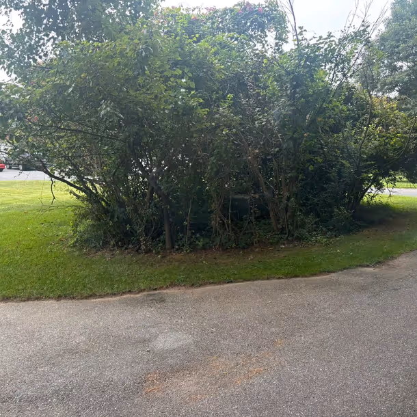 Lawn care and landscaping project by Tim's Outdoor Services