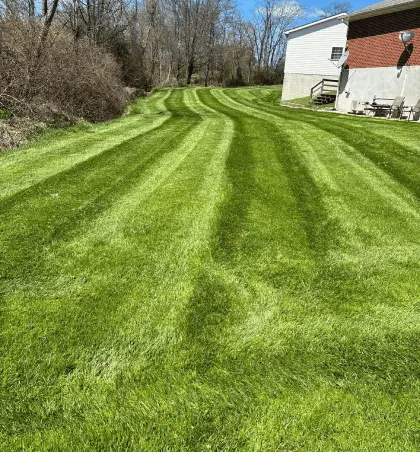 lawncare